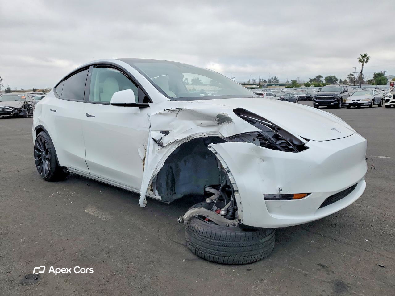 Tesla Model Y 2023