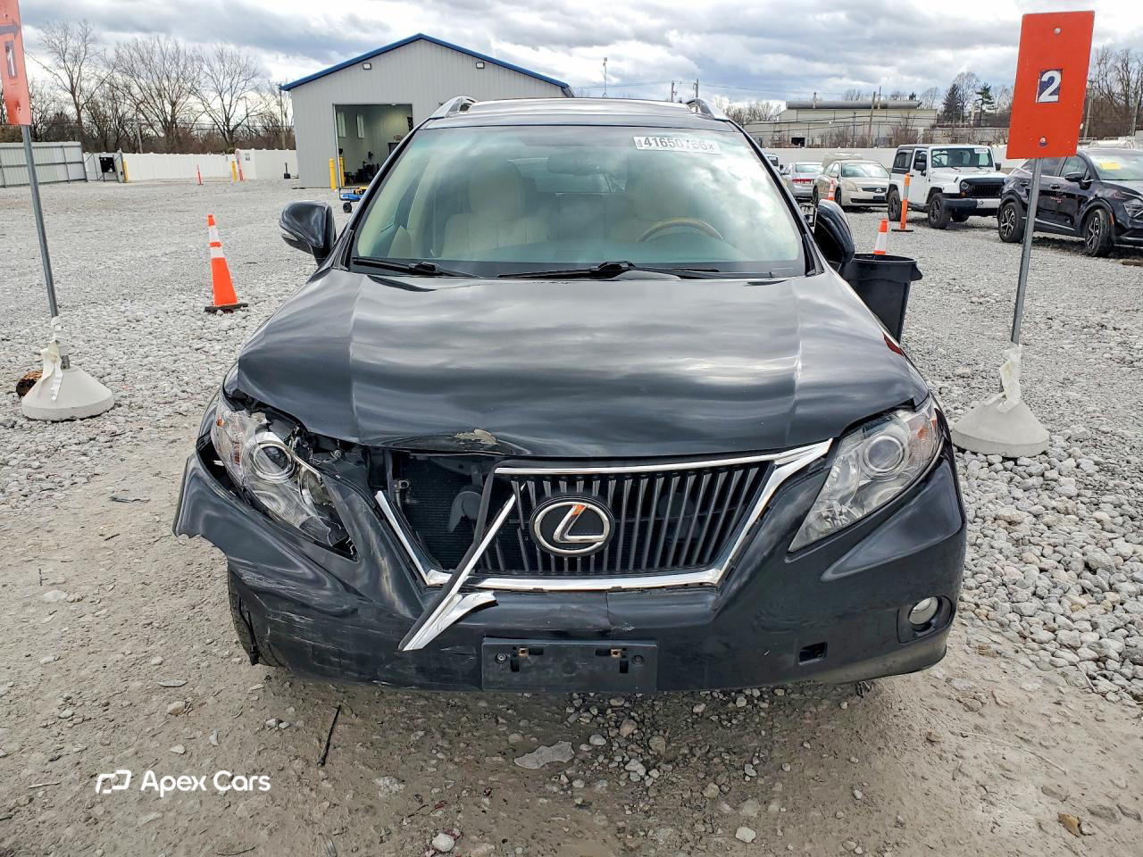 Lexus RX 2010