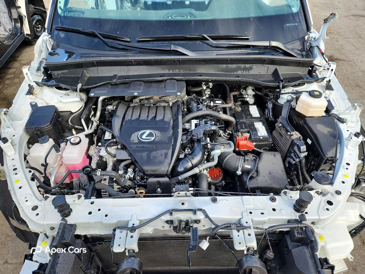 Lexus TX 2024