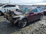 Acura TSX 2009