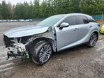 Lexus RX 2024