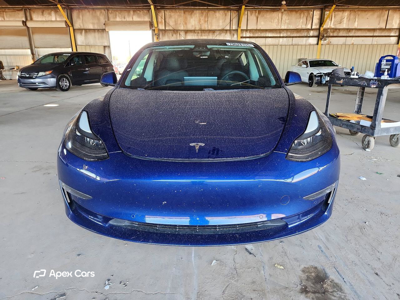 Tesla Model 3 2021