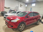 Ford Escape 2015
