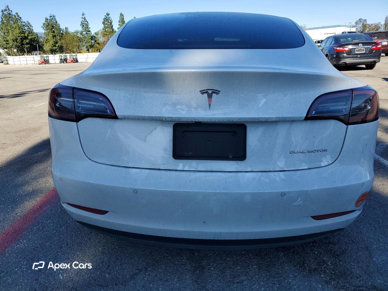 Tesla Model 3 2019