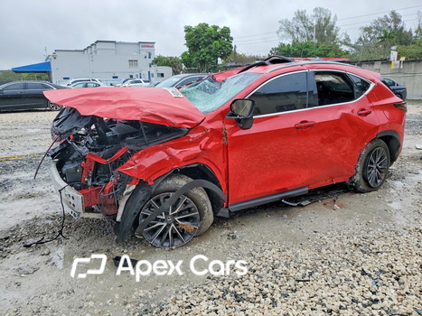 Lexus NX 2024 - Image 1 of 14