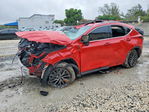 Lexus NX 2024