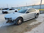 Ford Mustang 2000