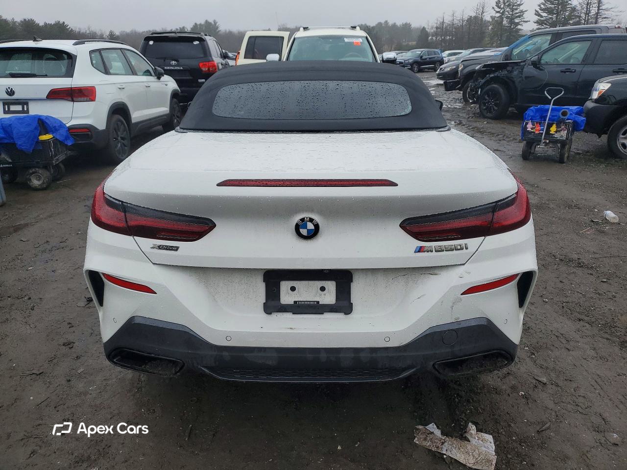 BMW M8 2019