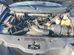 Ford F-150 2007