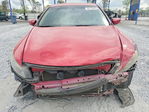 Honda Accord 2010