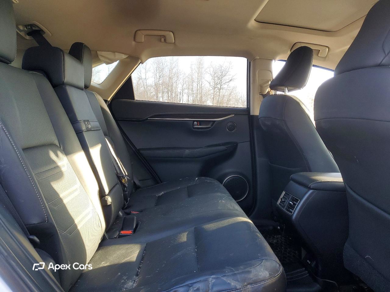 Lexus NX 2018