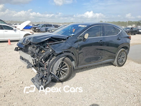 Lexus NX 2024 - Image 1 of 15