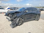 Lexus NX 2024