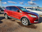 Ford Escape 2014
