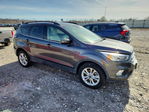 Ford Escape 2018