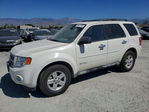 Ford Escape 2011