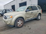 Ford Escape 2012