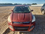 Ford Escape 2015
