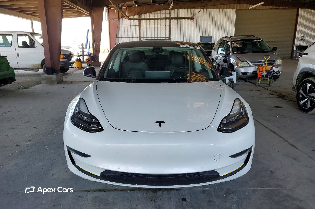 Tesla Model 3 2019