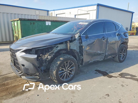 Lexus NX 2024 - Image 1 of 15