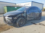 Lexus NX 2024
