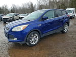Ford Escape 2014