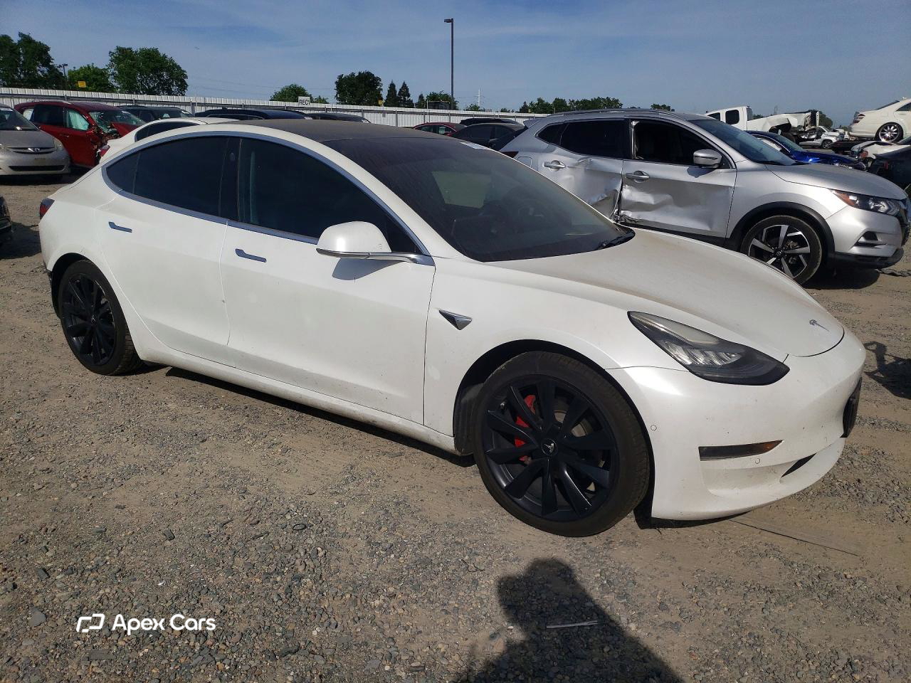 Tesla Model 3 2019