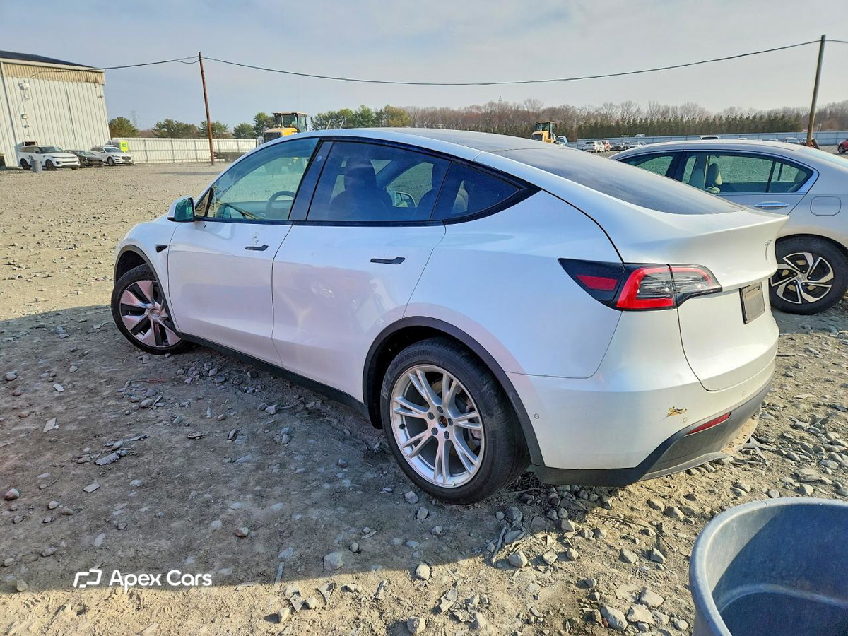 Tesla Model Y 2021