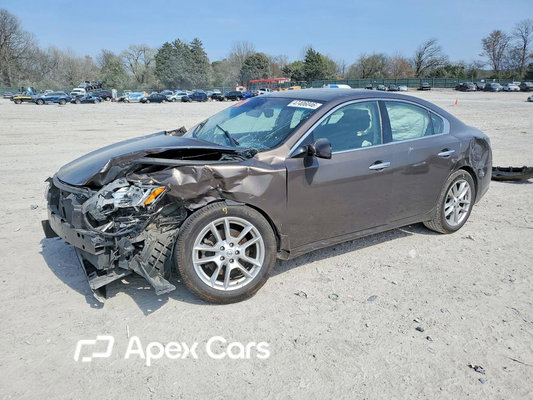 Nissan Maxima 2014 - Zdjęcie 1 z 14