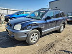 Hyundai Santa Fe 2004