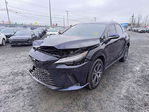 Lexus RX 2024