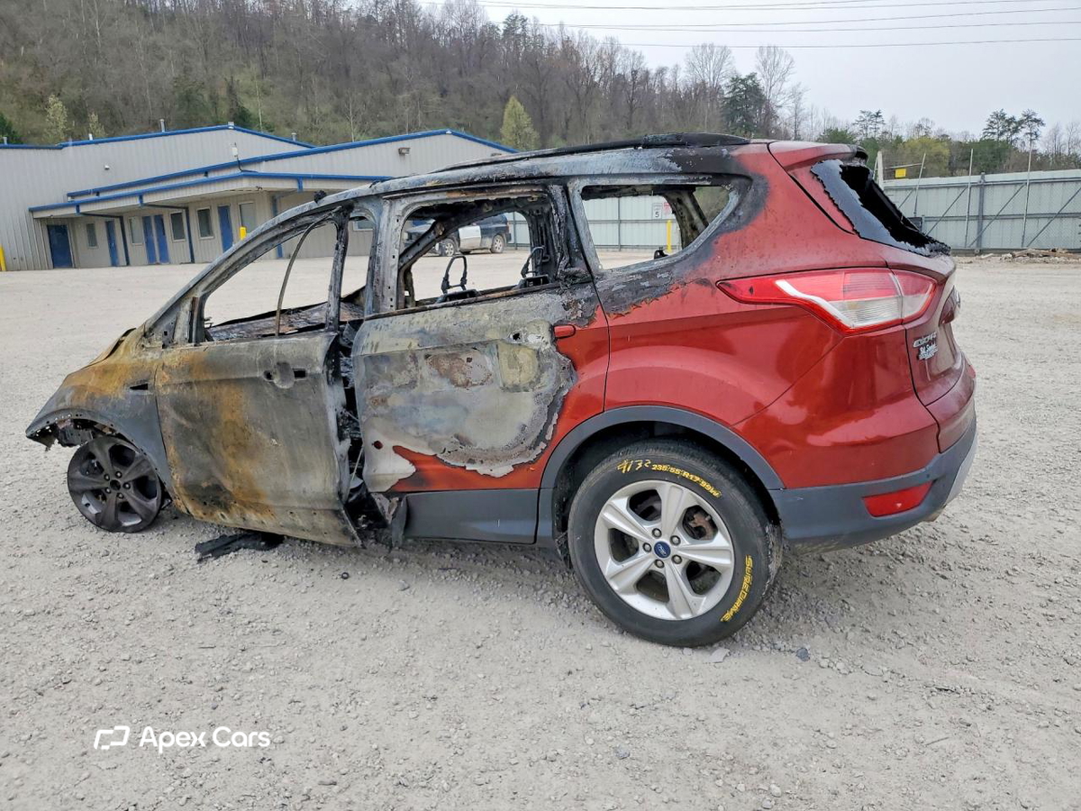 Ford Escape 2014