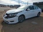 Honda Accord 2013