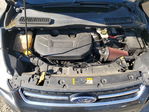 Ford Escape 2013