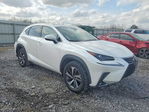 Lexus NX 2018