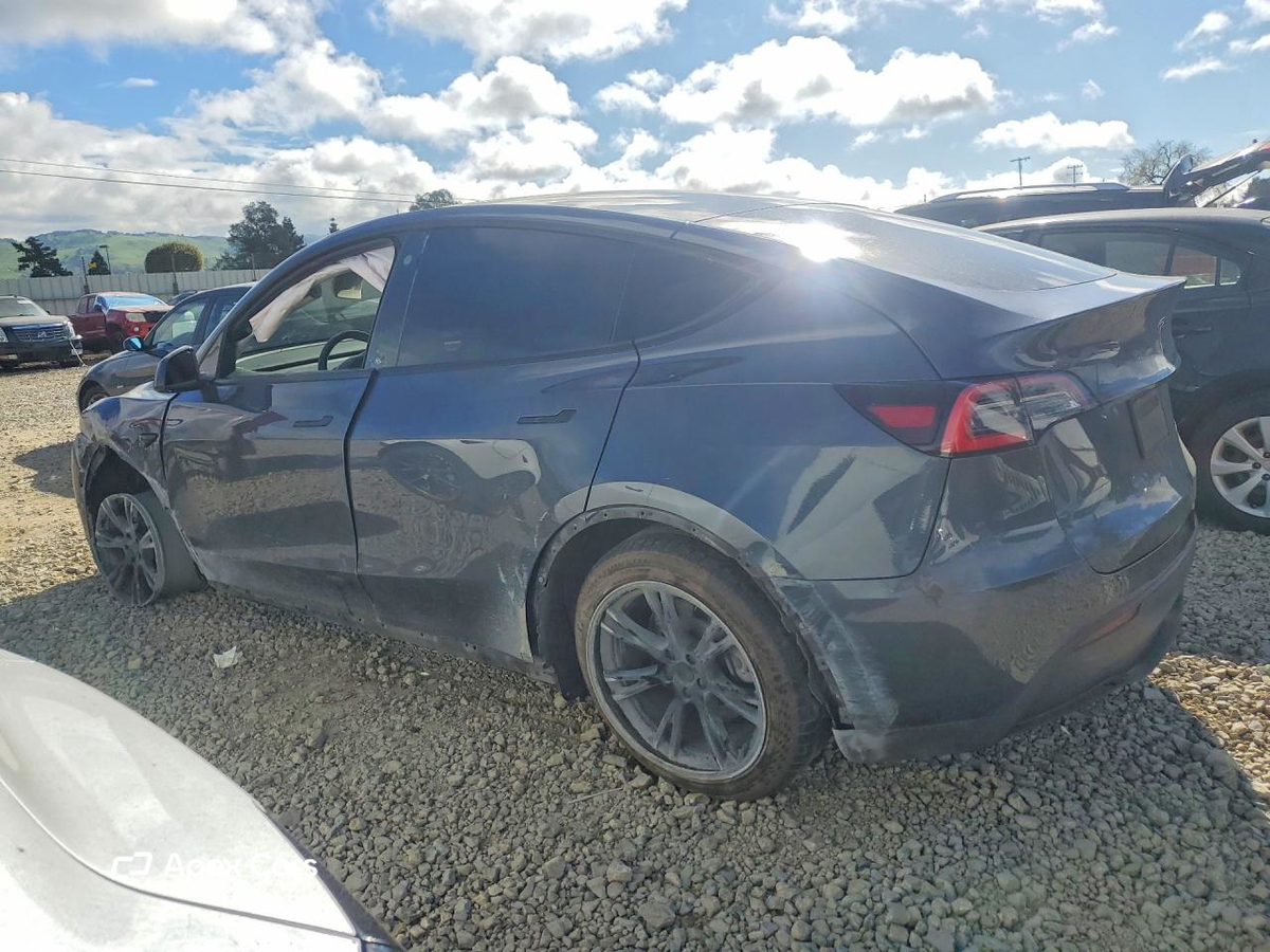 Tesla Model Y 2021