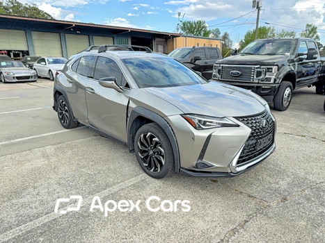 Lexus UX 2021 - Zdjęcie 1 z 14