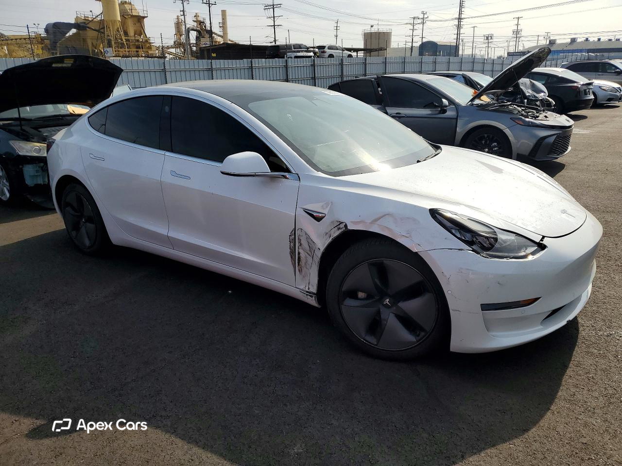 Tesla Model 3 2019