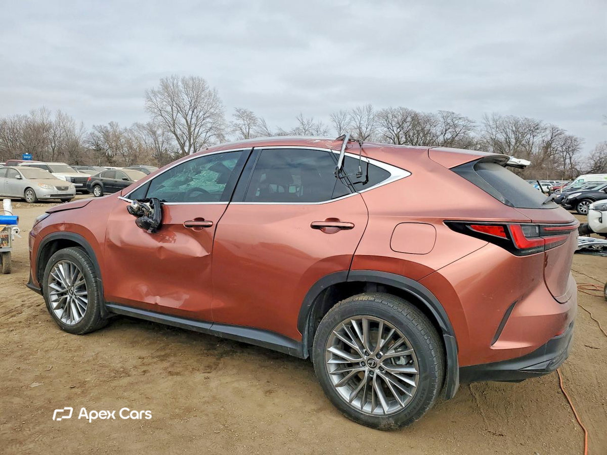 Lexus NX 2025