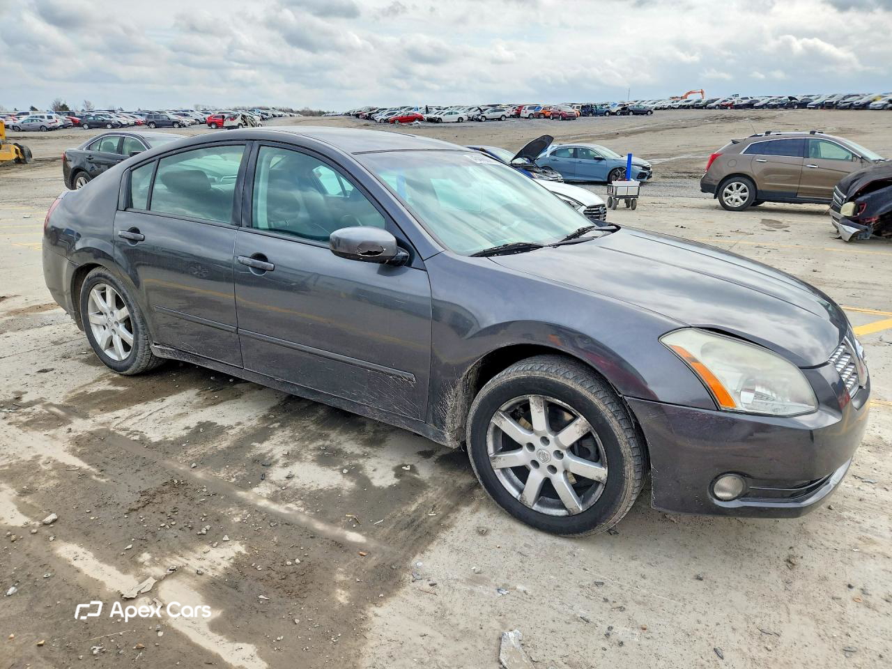 Nissan Maxima 2006