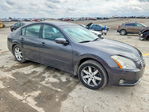 Nissan Maxima 2006