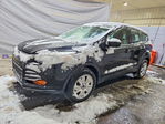 Ford Escape 2013