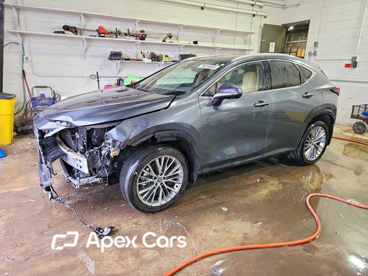 Lexus NX 2025 - Zdjęcie 1 z 14