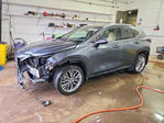 Lexus NX 2025