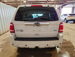 Ford Escape 2010