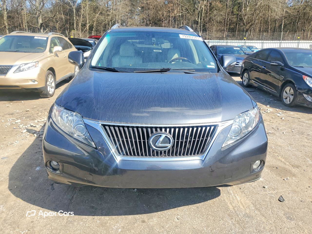 Lexus RX 2010