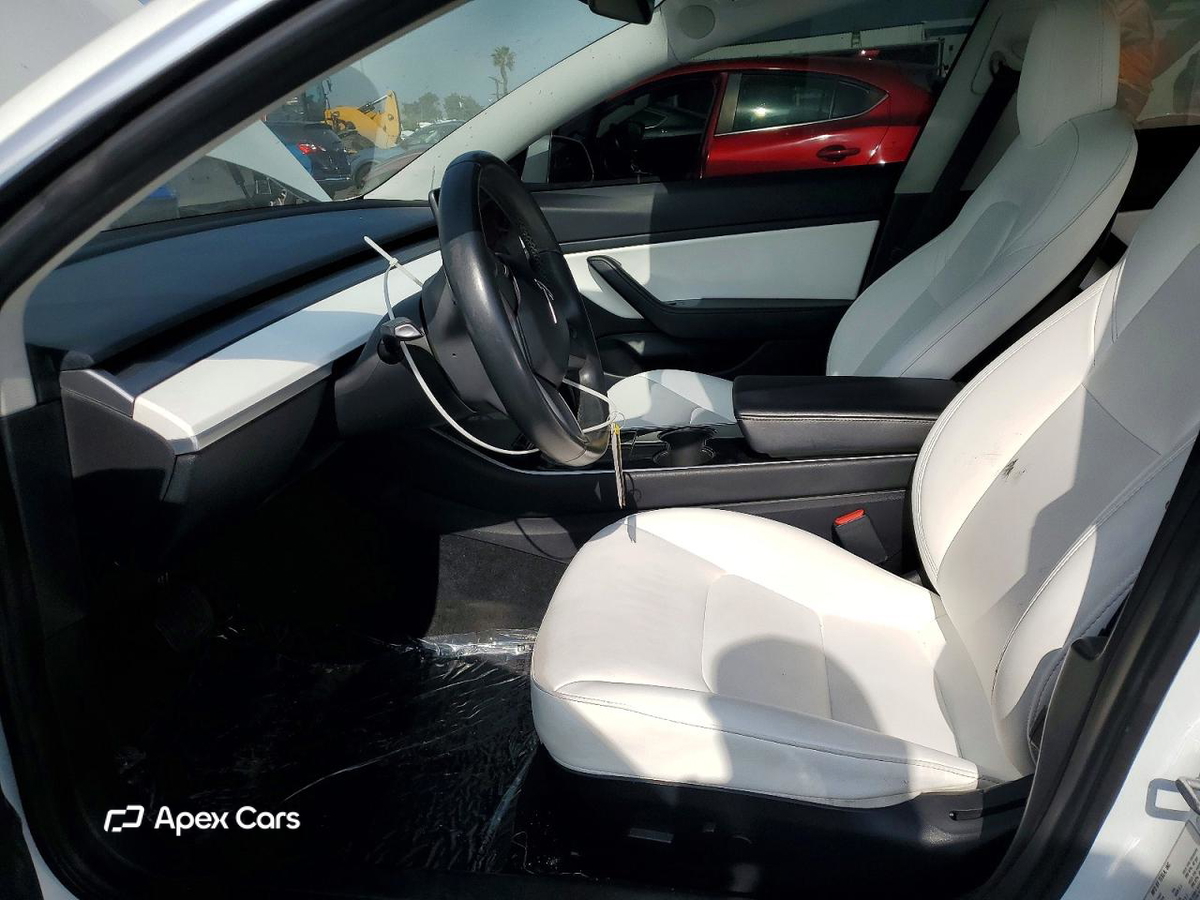 Tesla Model 3 2019