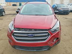 Ford Escape 2019