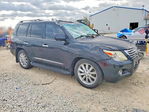 Lexus LX 2010
