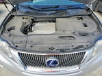 Lexus RX 2010
